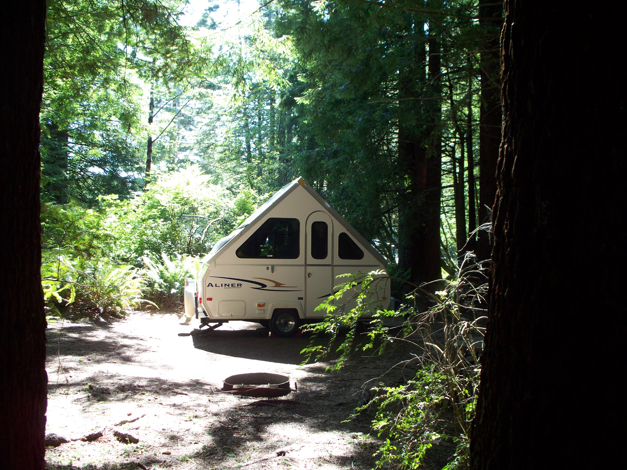 Water and Electric Redwood Forest sites
