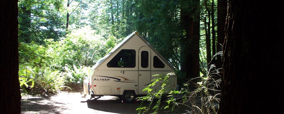 Water and Electric Redwood Forest sites