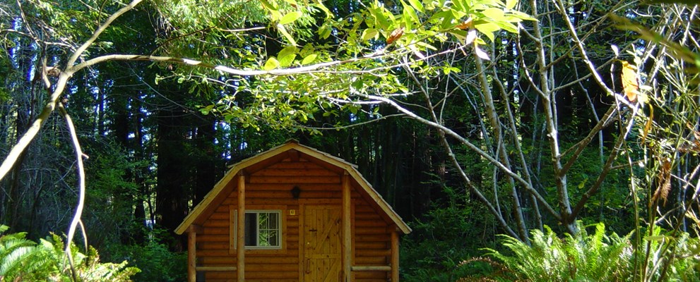 1 Room Cabin