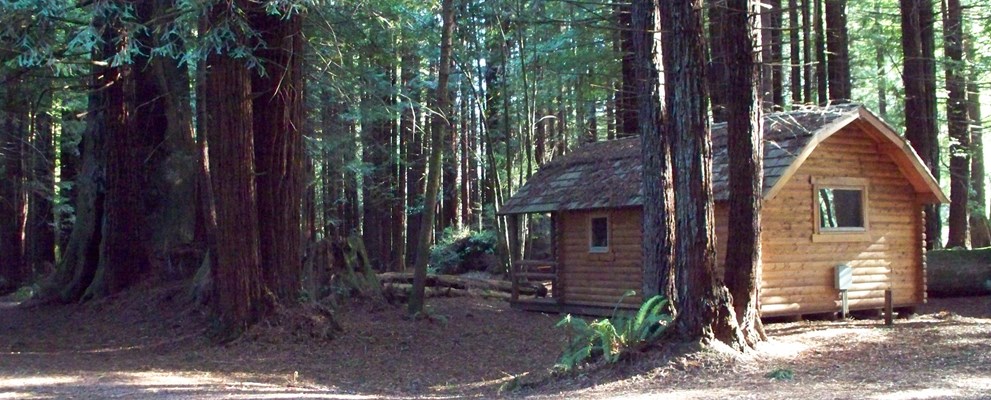 2 Room Cabin