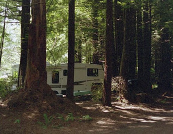 Smaller trailers and motor homes - up to 25 feet are welcome to stay in the water/electric sites in the forest.