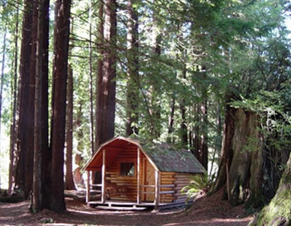 Cabin #2 with it's own courtyard surrounded by trees.