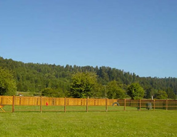 Very popular with our more furry guests and lots of room for playing around off leash.