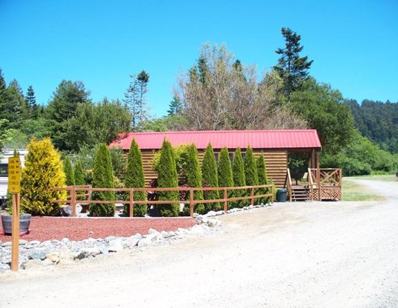 Our deluxe lodge has an attached patio with barbecue, fire pit, picnic table and benches. Inside sleeps 6; queen bed, bunks, and a futon. Linens are available with additional charge (sheets, blankets, pillows, towels); advance notice required. Bath with toilet, shower and, sink. Kitchen with 3 burner stove, refrigerator/freezer, microwave and sink. Also included is a coffee maker, pots, pans, plates, cups, cooking and eating utensils. The deluxe lodge has a TV and heat and air conditioning. Can you call this "camping"?