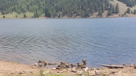 Fishing
