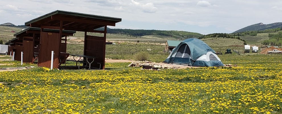 Deluxe Tent Site