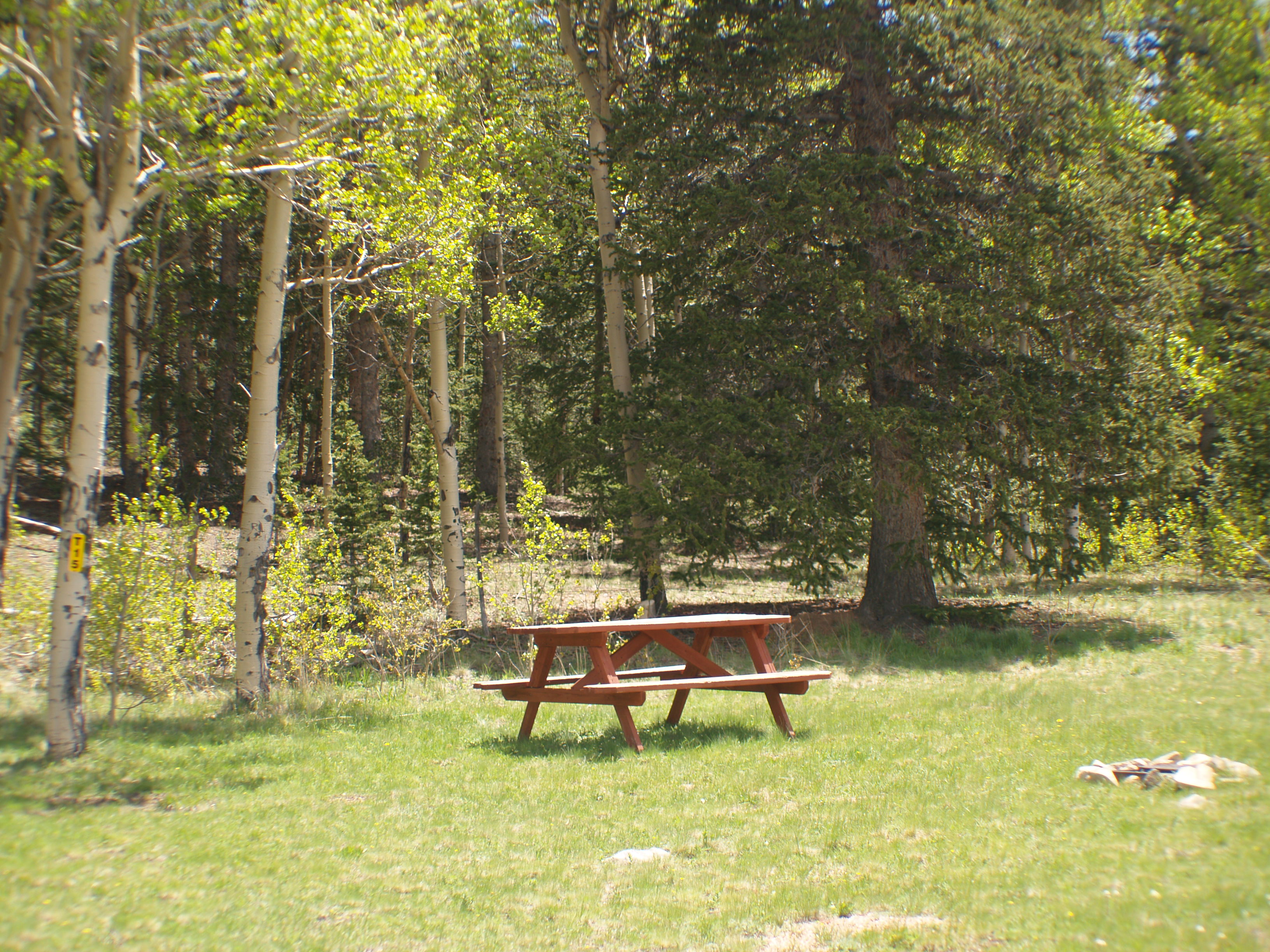 Rural Tent site