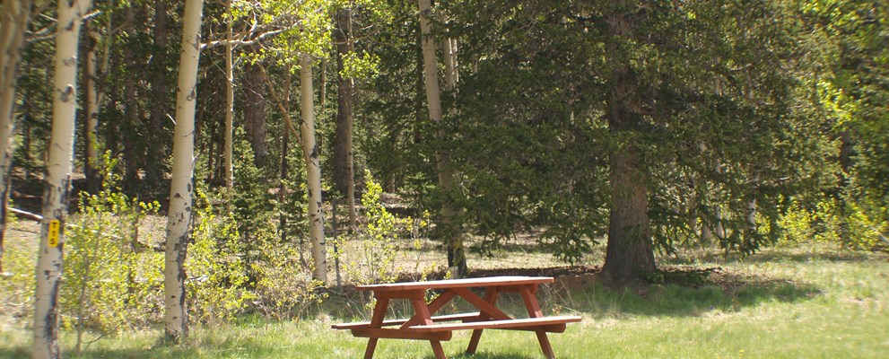 Rural Tent site