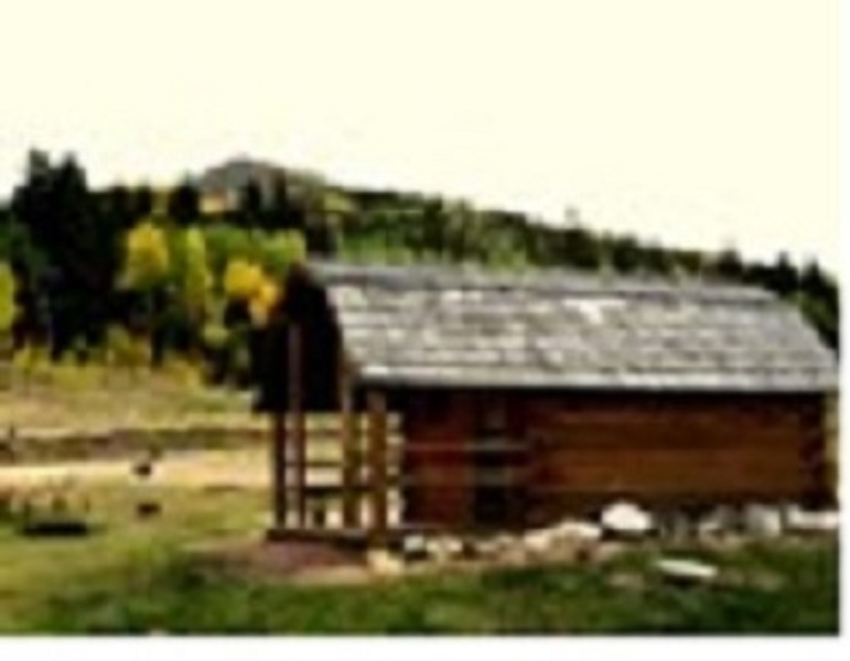 Pet Friendly 1 room cabin