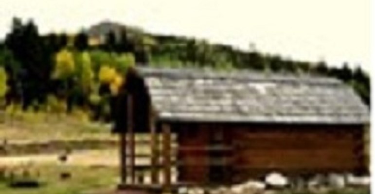 Pet Friendly 1 room cabin