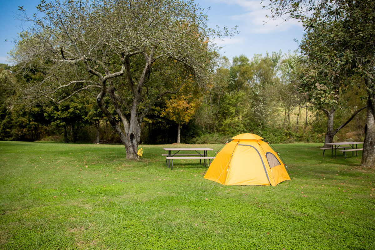 Tent Site