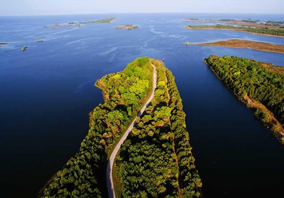 Withlacoochee Bay Trail