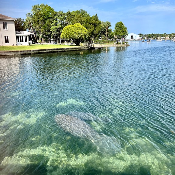Hunter Springs Park
