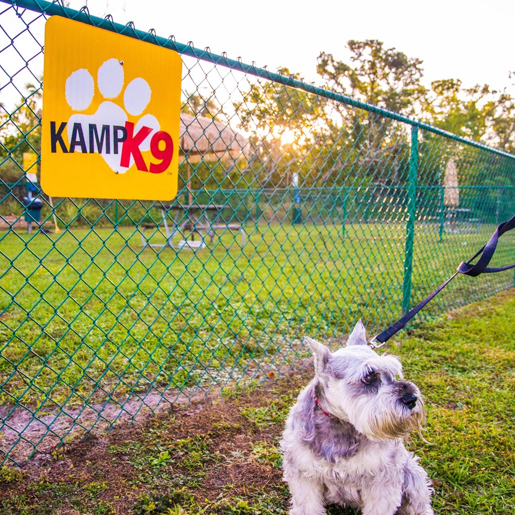 Crystal River KOA: Dog Friendly Trails Spotlight