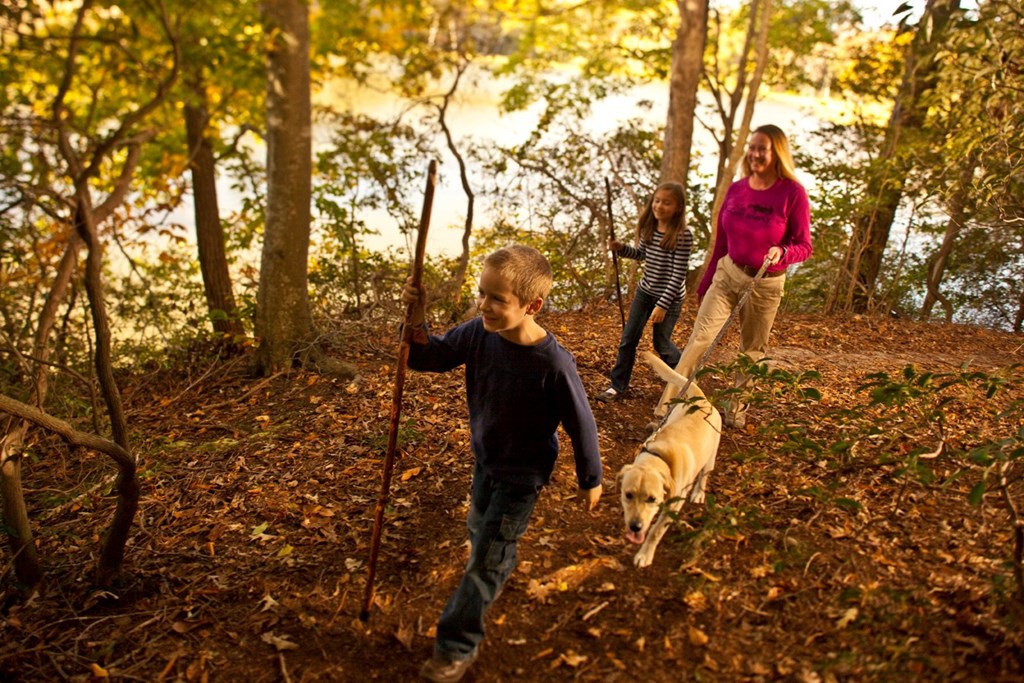 Dog Friendly Attractions and Restaurants