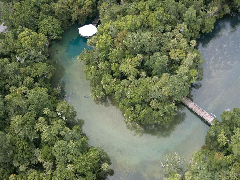 Crystal River KOA: Springs in the area