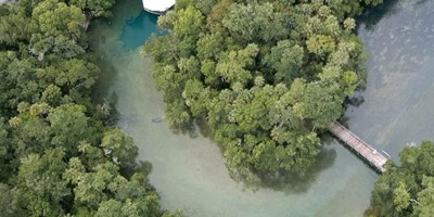 Crystal River KOA: Springs in the area