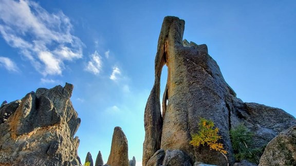 Needles Highway