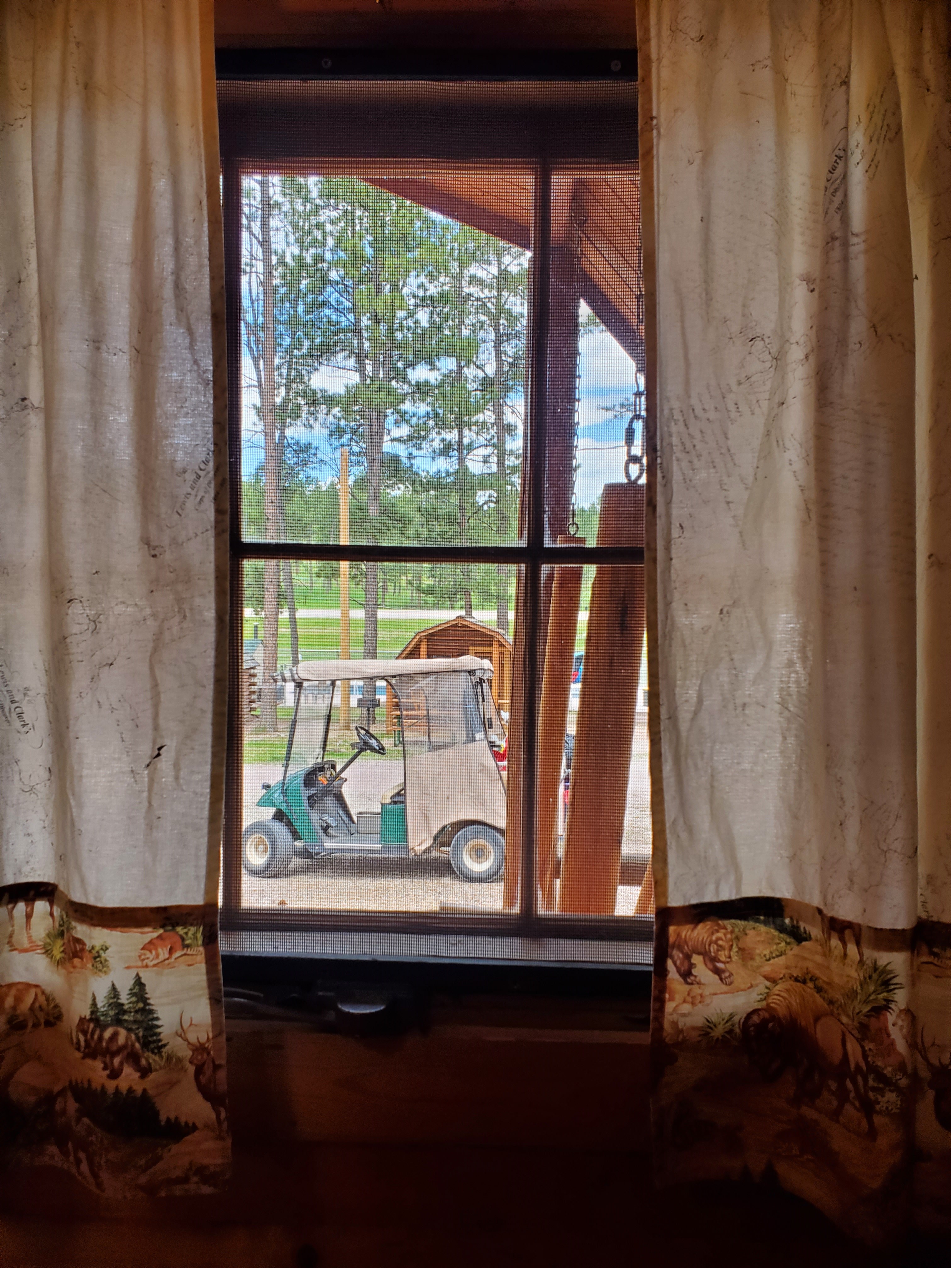 Looking Out