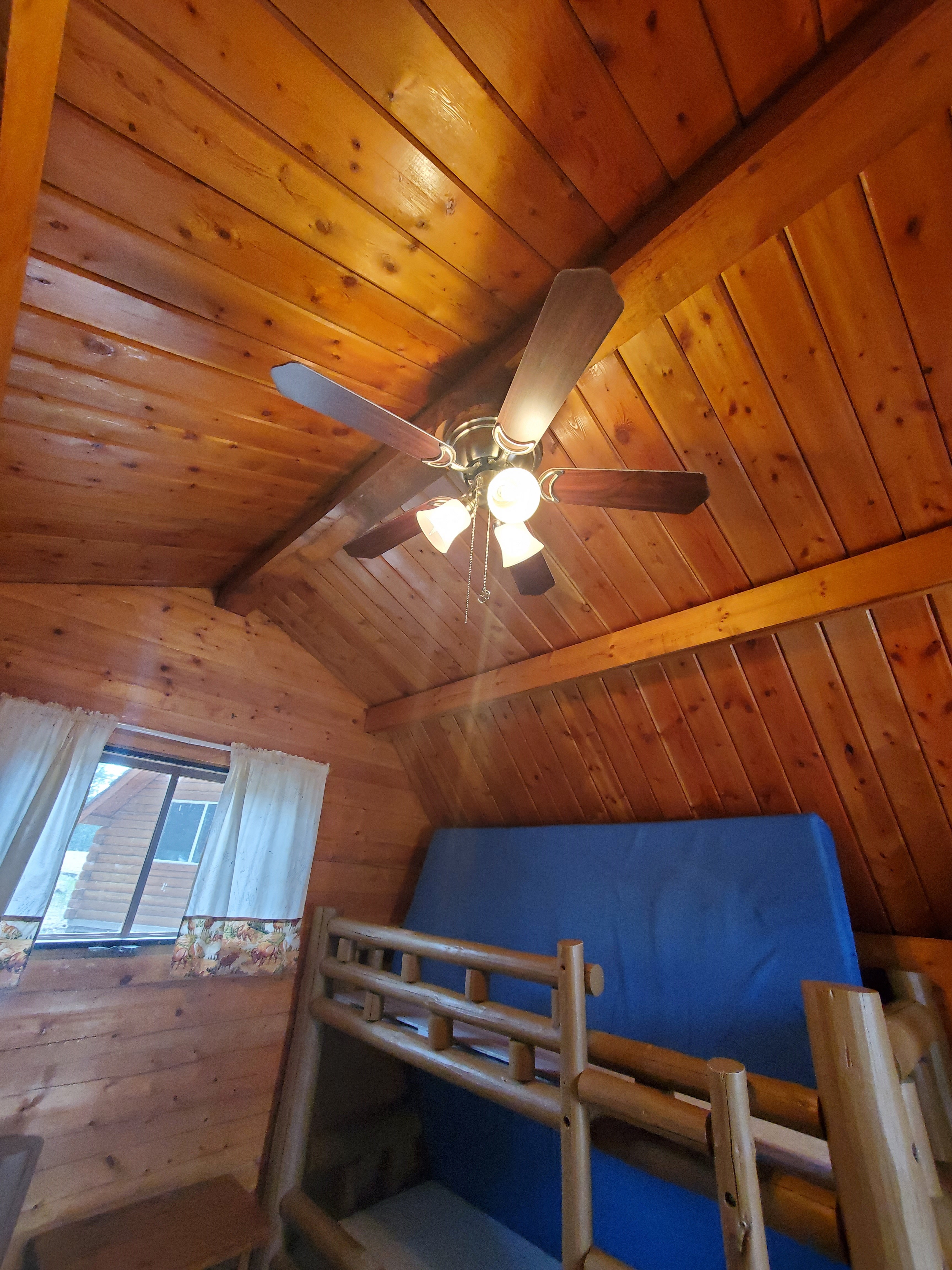 Ceiling Fan