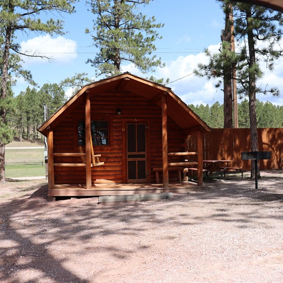 Primitive Cabin