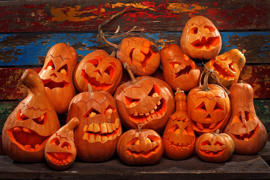 Top 12 Things To Do In Dallas During Fall