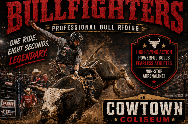 Ultimate Bullfighters Photo