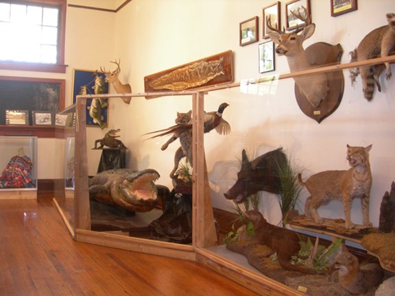 Old Davie School Historical Museum