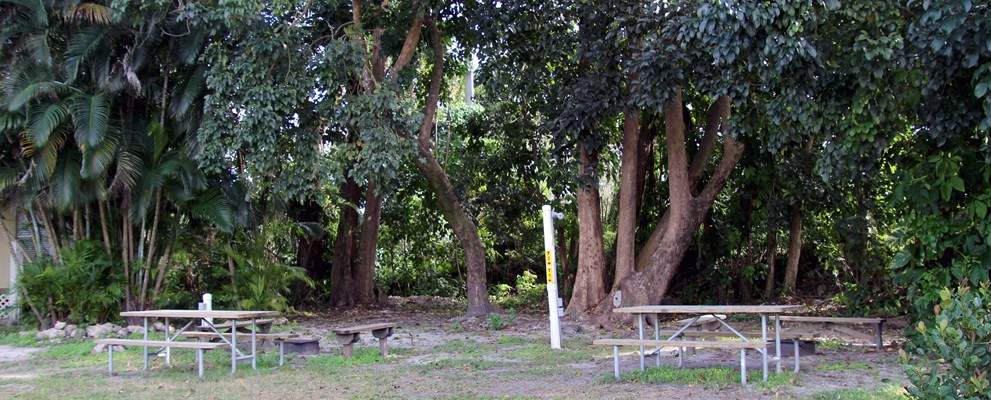 Site T1 & T2