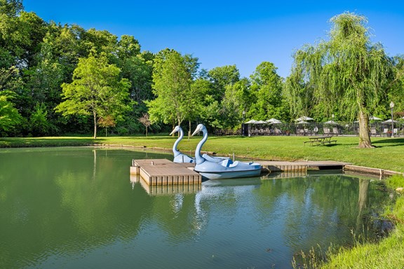 Paddle Boats