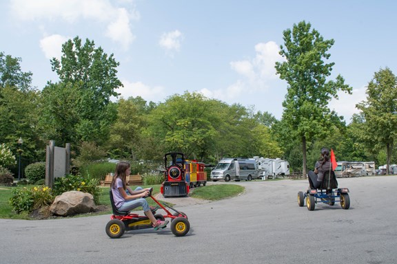 Bike Rentals
