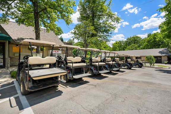 Golf Cart Rentals