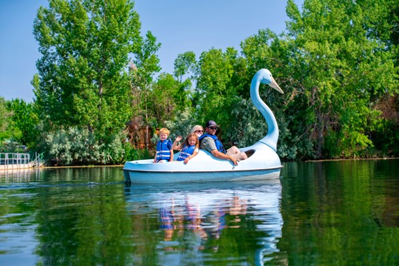 Paddle Boats