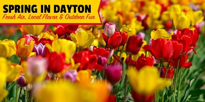 Spring in Dayton, Ohio