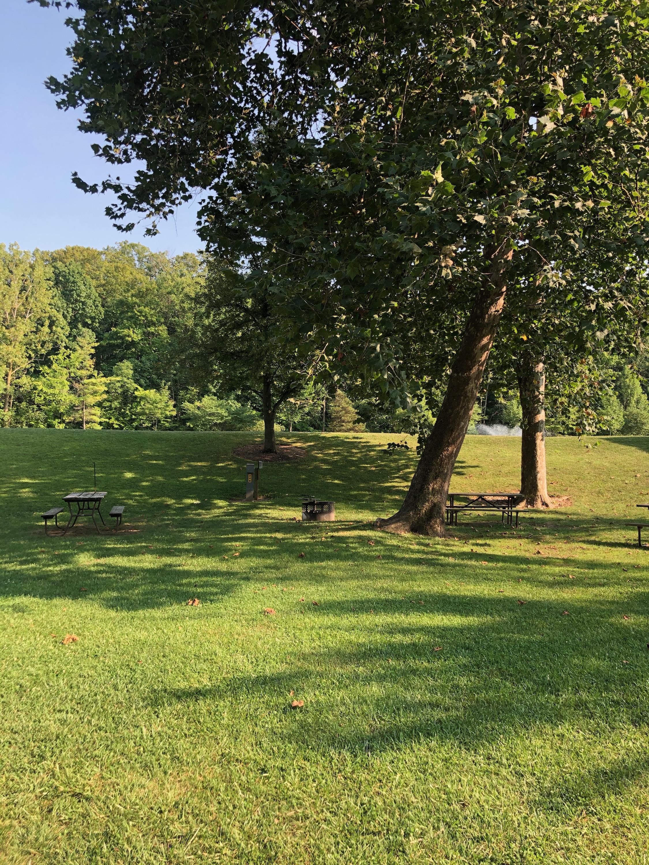 Water/Electric grass pad tent site. One vehicle per site. One tent and canopy will fit on most of these sites.