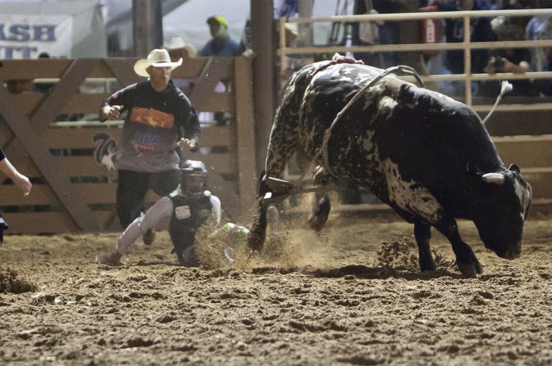 Deadwood PBR (Professional Bull Riding) Photo