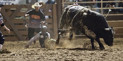 Deadwood PBR (Professional Bull Riding)