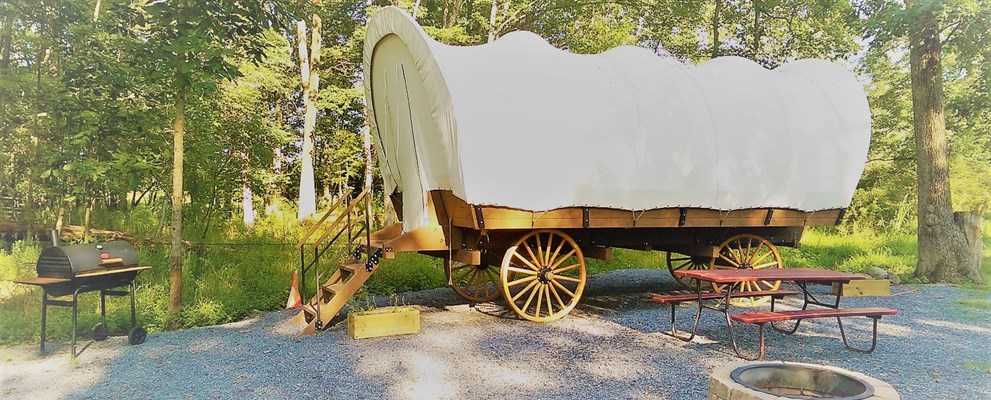 Conestoga Wagon on Landscaped Site