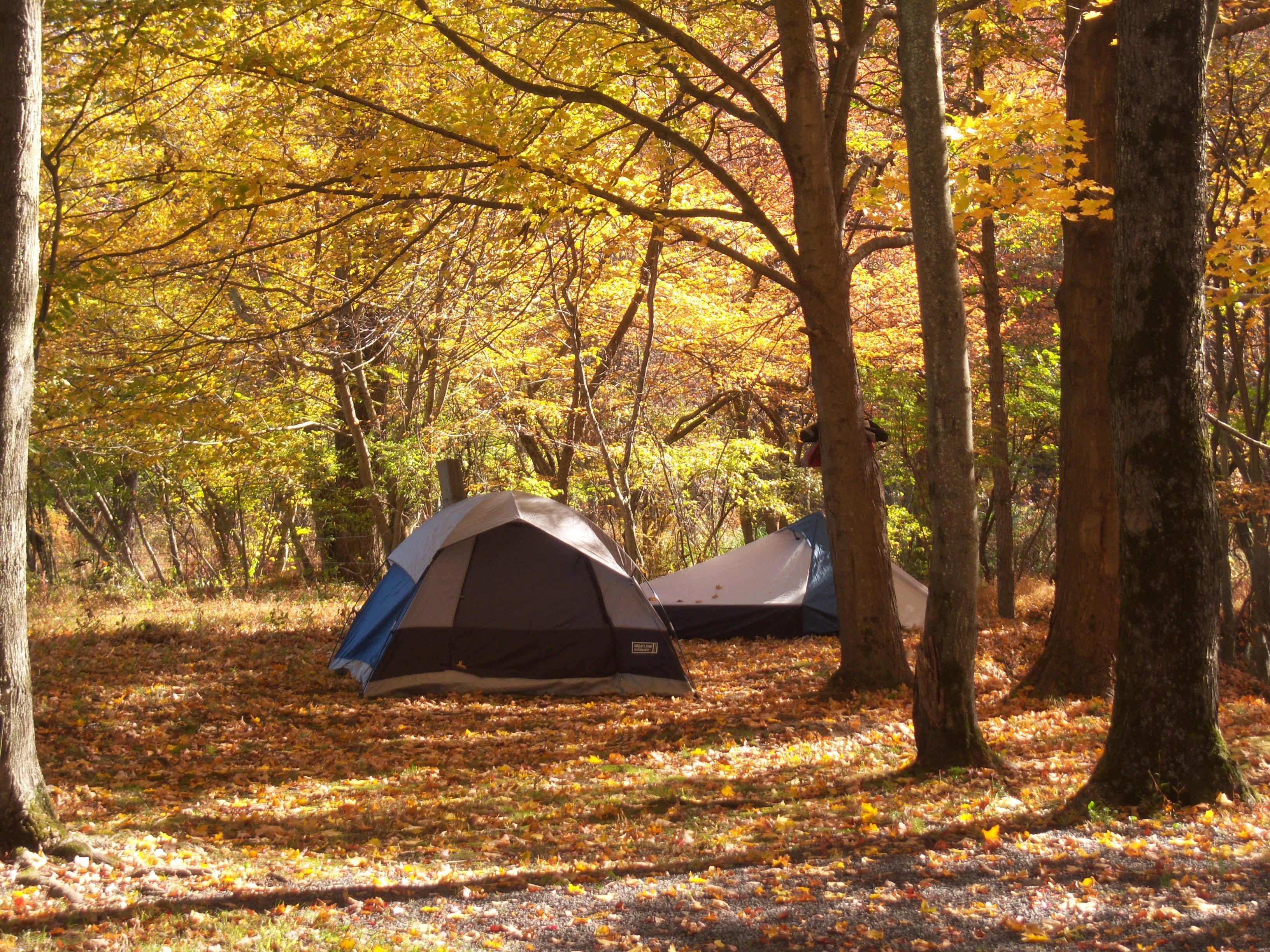 Tent Site