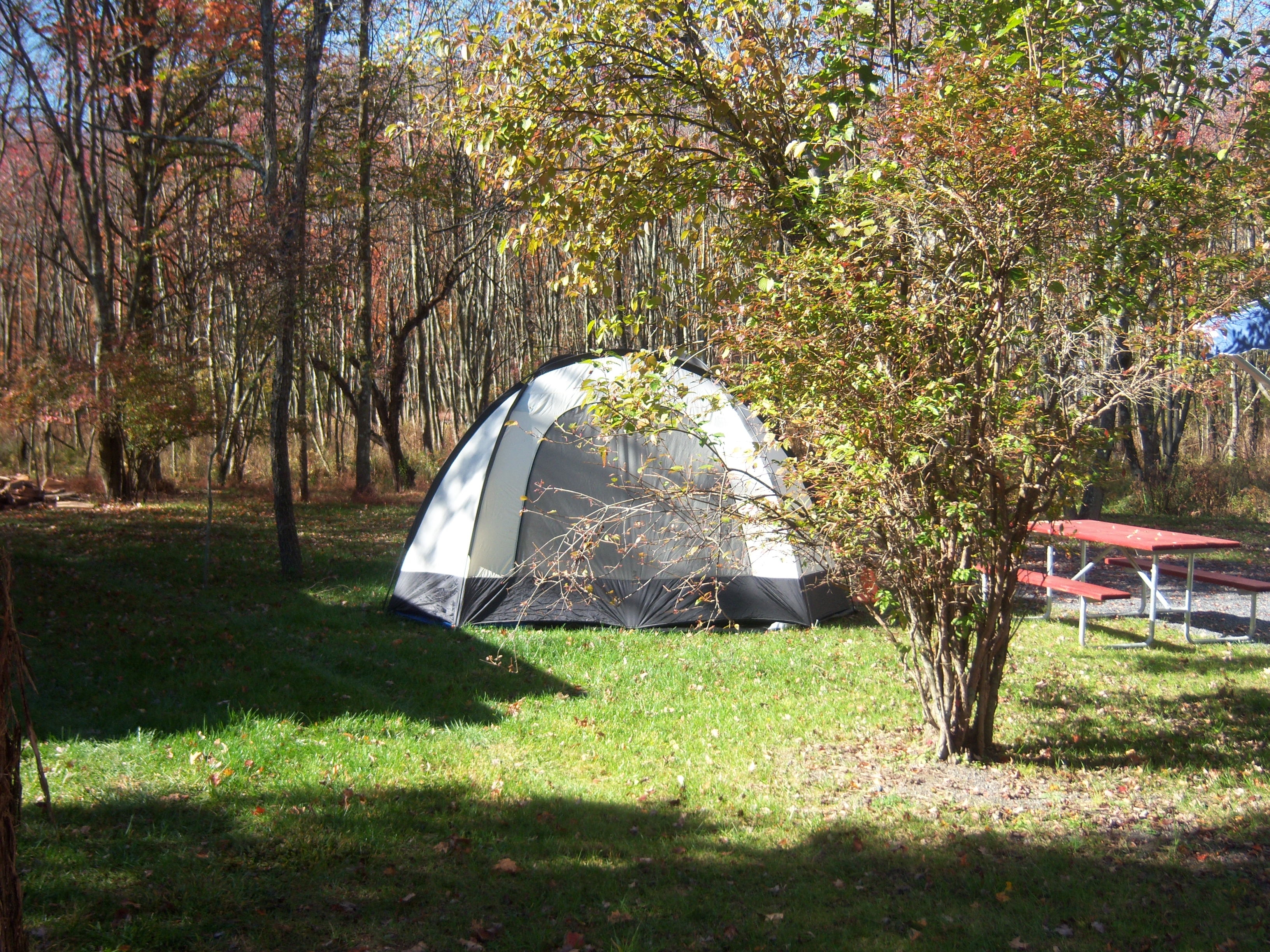 Tent Site
