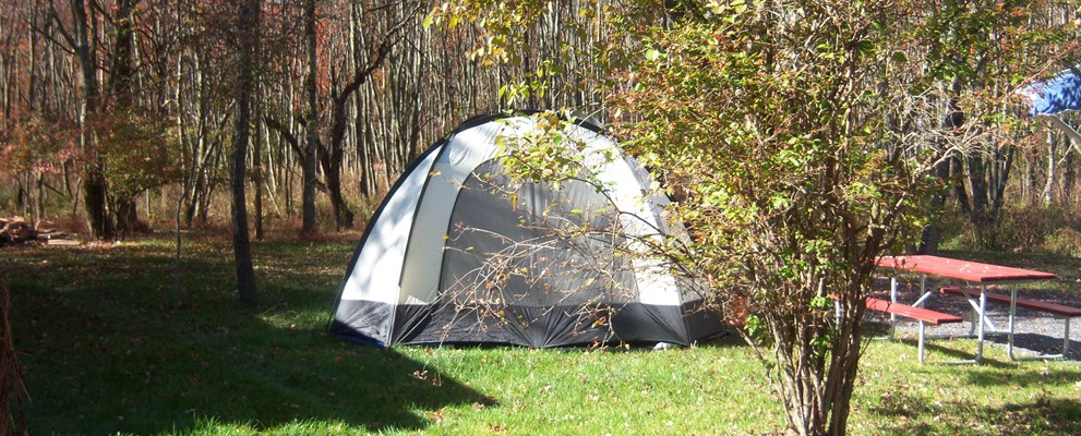 Tent Site