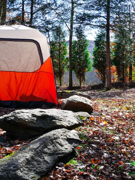 Welcome to the Delaware Water Gap / Pocono Mountain KOA