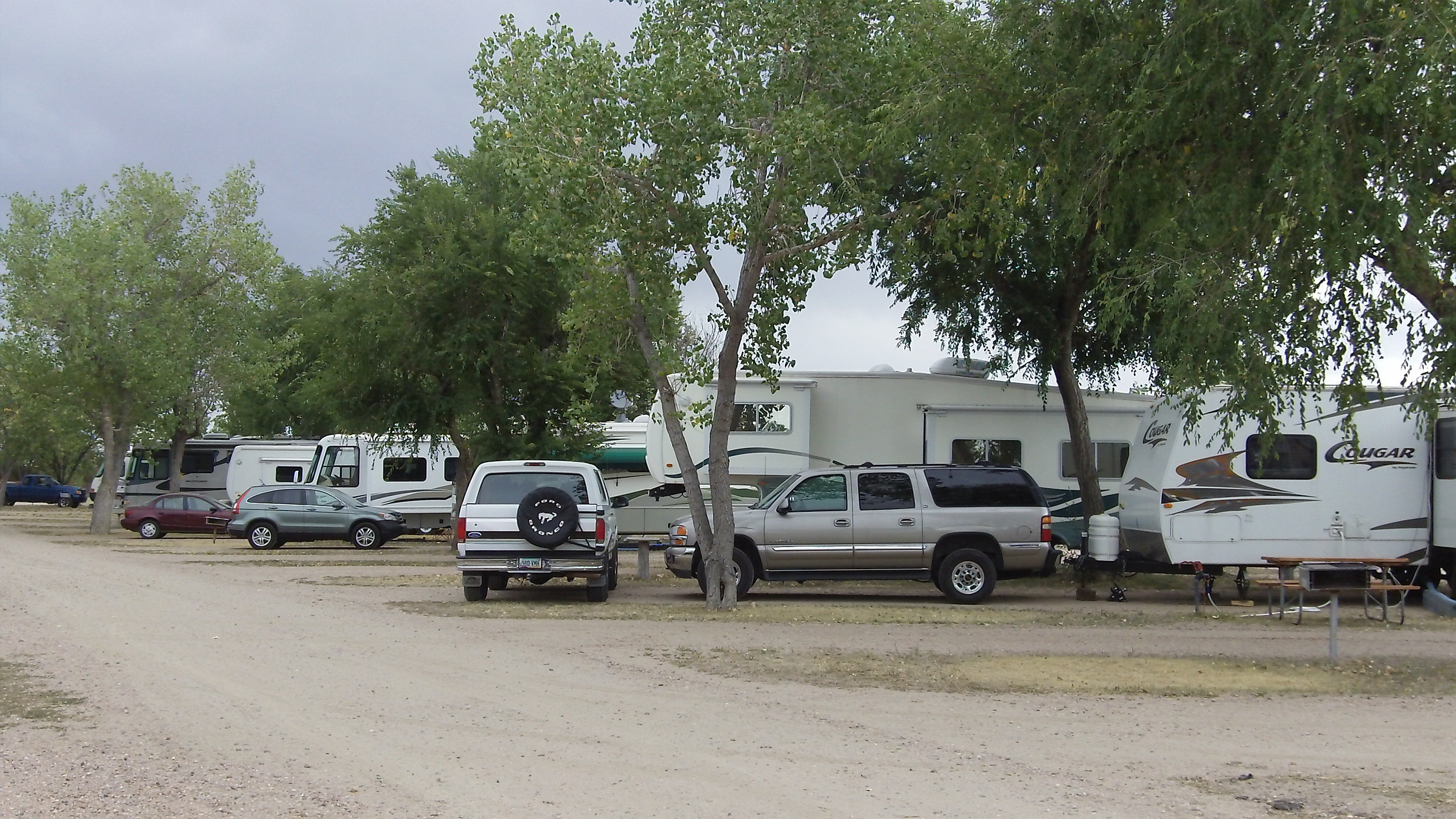 Nice pull thru rv sites with trees