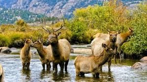 Rocky Mountain National Park