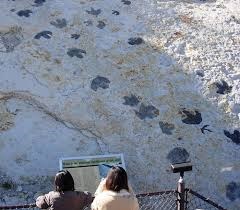 Dinosaur Ridge
