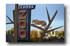 The Denver Zoo