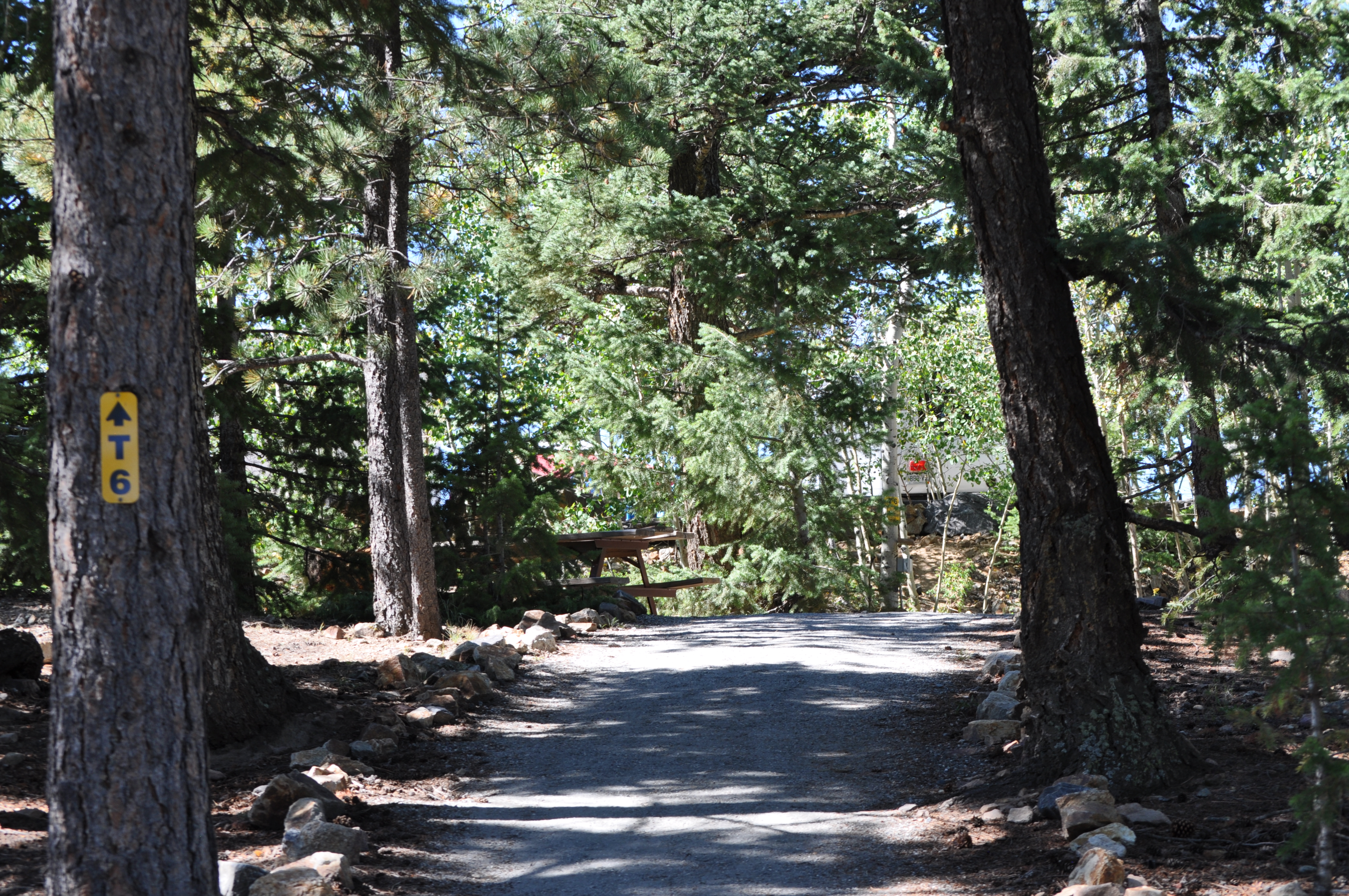 Tent Sites (Walk-up)