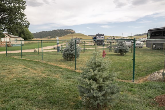 Dog Run