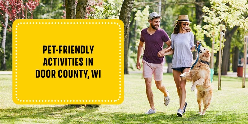 Pet-Friendly Activities in Door County, WI