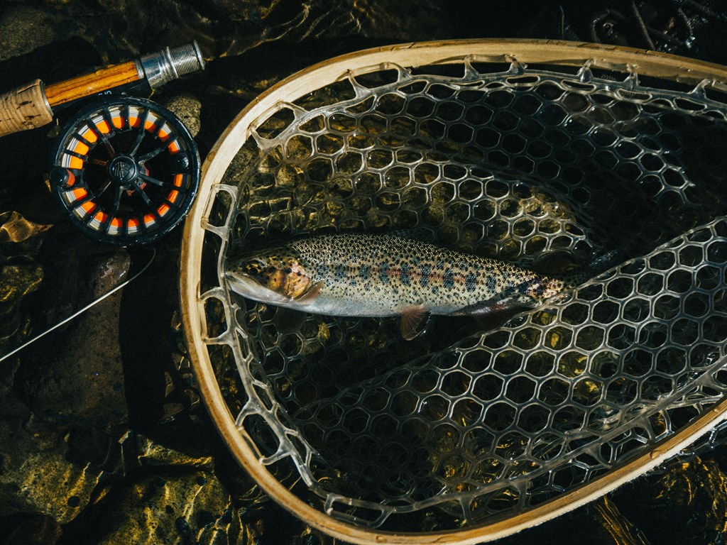Adventure Awaits in Douglas, WY